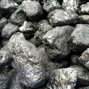 El Mejor Carbón: ¿De qué Año es la Leña para el Carbón?